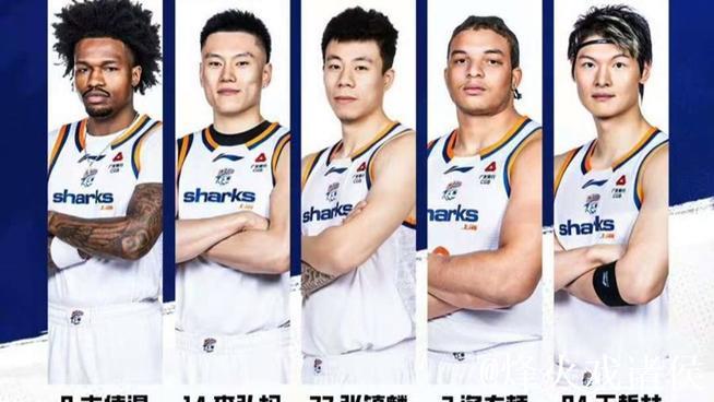 客场不敌深圳队，大鲨鱼九连胜终结